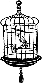 Canary in Cage